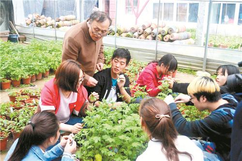 最新多肉植物图鉴大全-多肉植物宝典全新收录