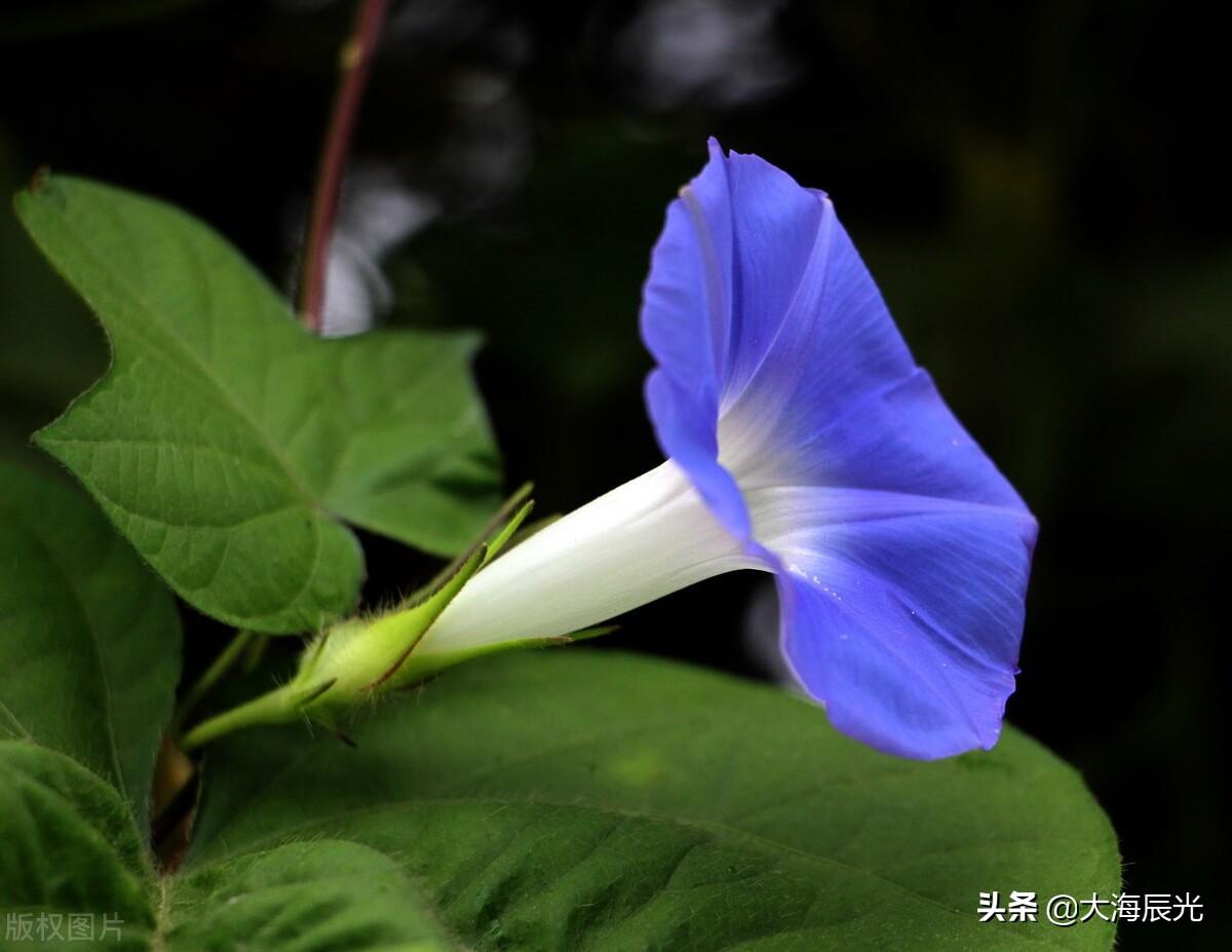 花都区委新锐领导团队展翅翱翔