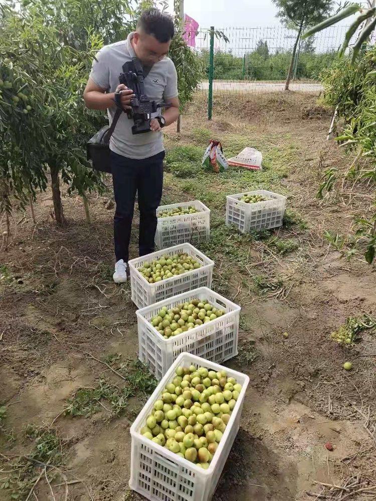 泗阳东城一品·美好瞬间全景赏