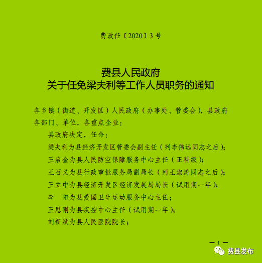 费县官方发布：最新一轮人事变动全解析