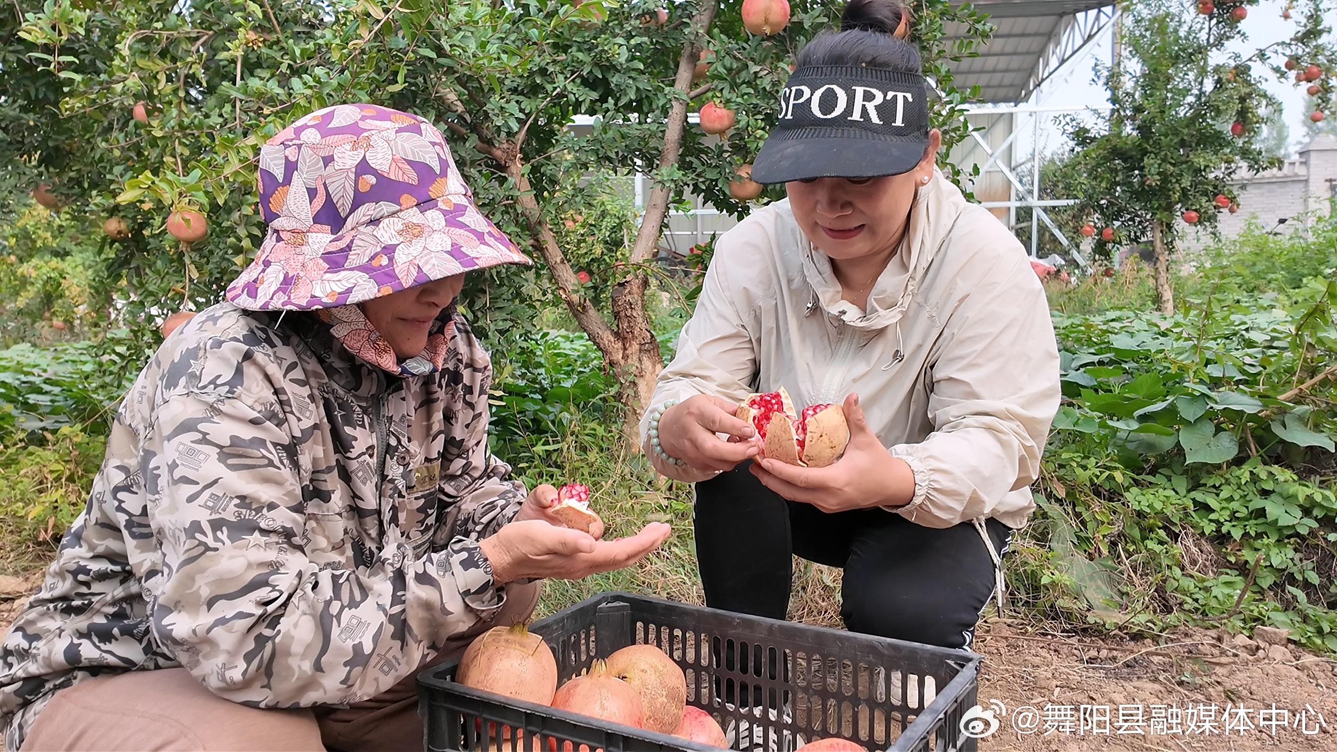 还敢乱心动吗